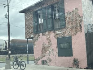 Bacchanal Fine Wine & Spirits