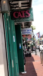 The World Famous Cats Meow | Karaoke New Orleans