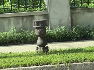 New Orleans' Oldest Fire Hydrant (1869)